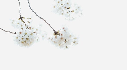 Vogue Aesthetics & Beauty image 2