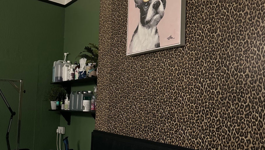amelias diamond dog groomersの画像：1