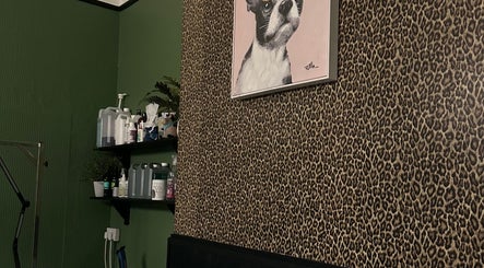 amelias diamond dog groomers