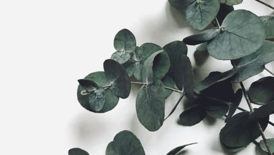 QLTY ESTHETICS image 1