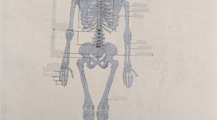 Authenticomaina image 3