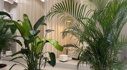 Nap Foot Spa image 3