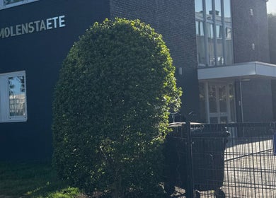 BEREZA studio entrance with modern architecture in Waalwijk, Noord-brabant, NL, featuring a lush hedge.