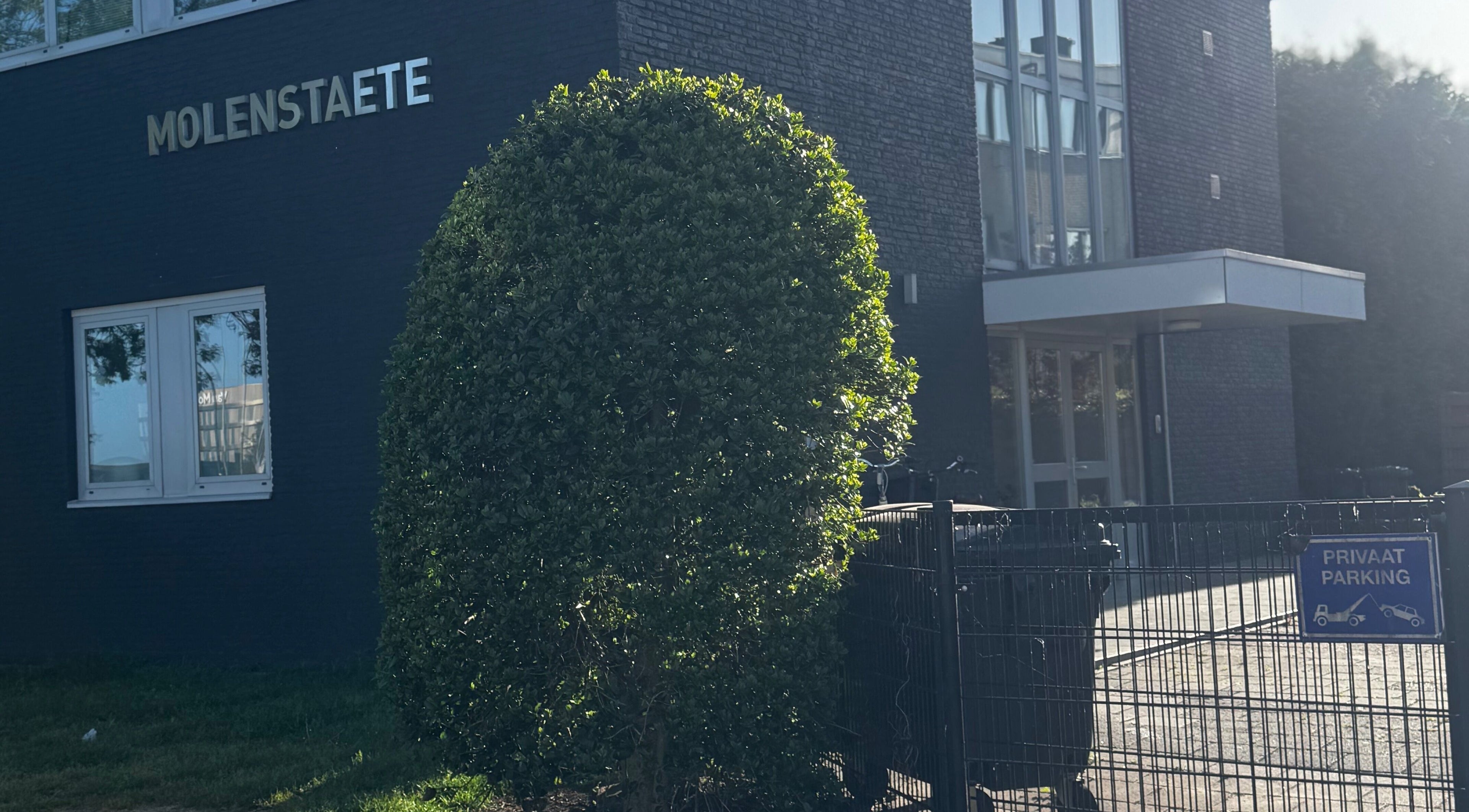 BEREZA studio entrance with modern architecture in Waalwijk, Noord-brabant, NL, featuring a lush hedge.