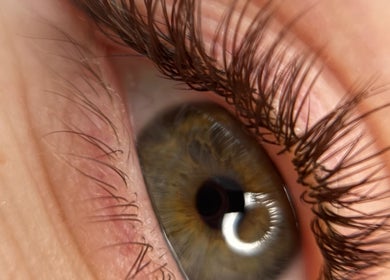 Zbliżenie oka z długimi rzęsami w Ansty Lashes Przedłużanie rzęs Eyelash, Warszawa, Województwo Mazowieckie, PL.