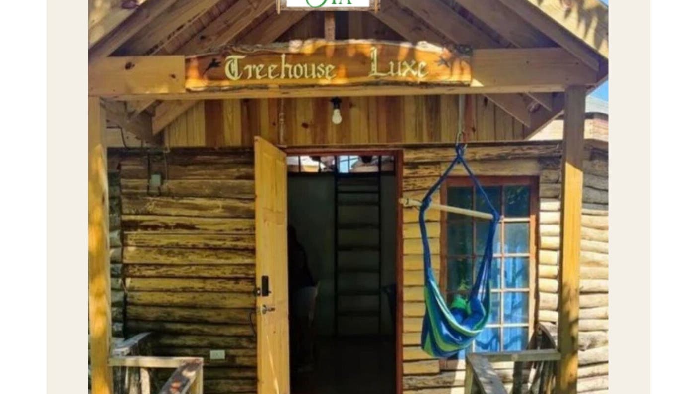 Edenic Artistry Spa @ Tree House Luxe entrance in St ann, JM showcasing wood cabin and hammock.