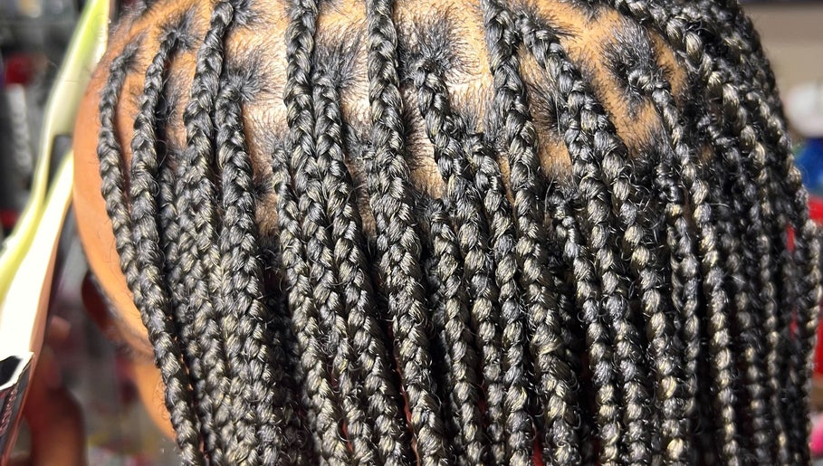 Sandy Braids image 1