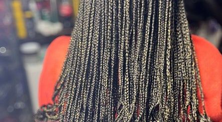 Sandy Braids image 2