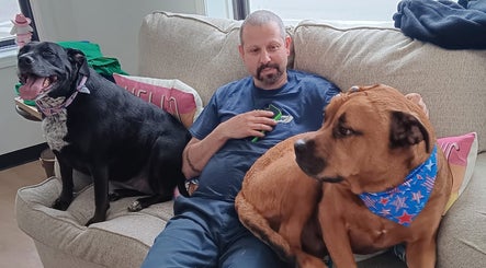 Cassandra’s Pet Salon kép 2