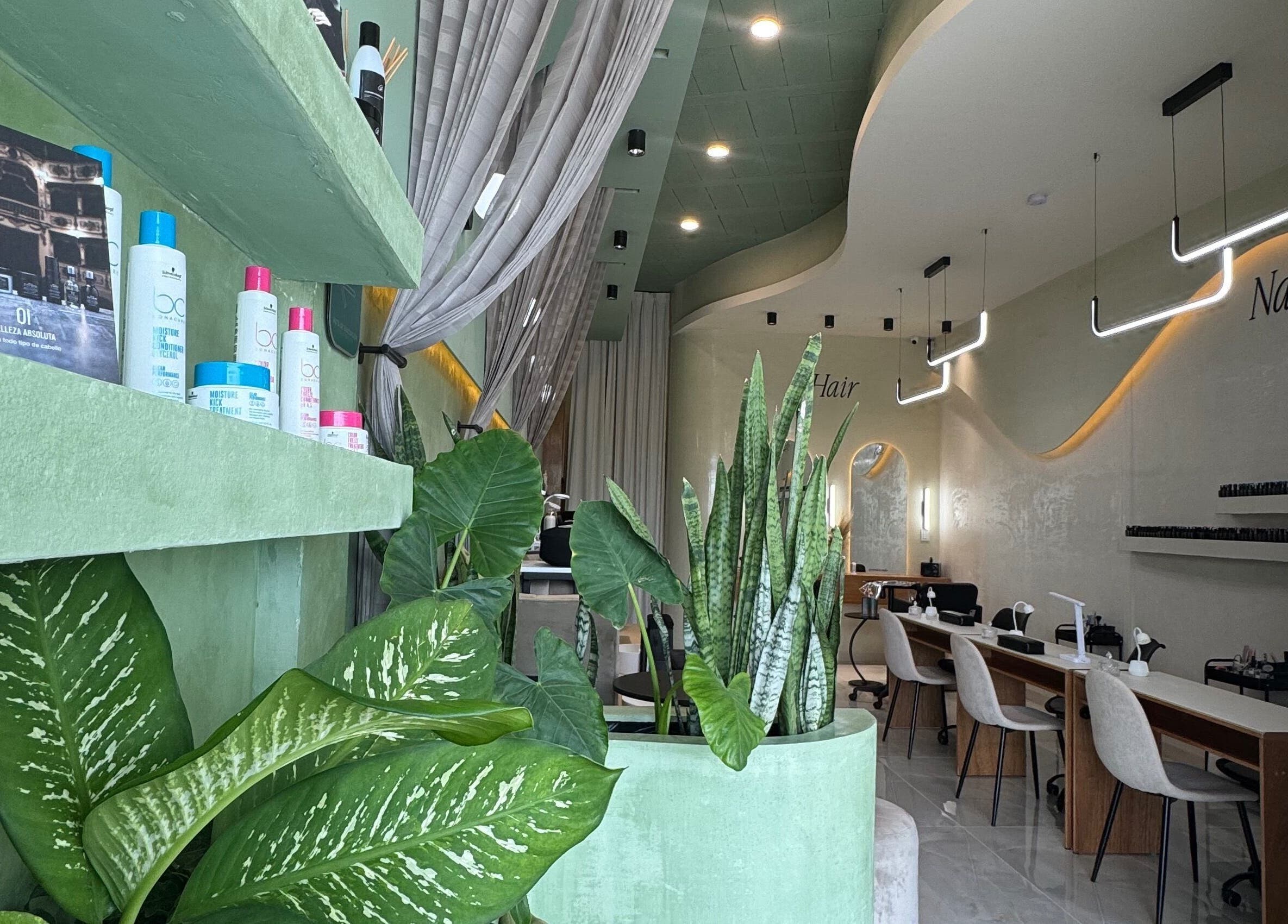 Interior moderno de Celesthea Studio by Ale Castilla en Conkal, Yucatán, MX, con estanterías verdes y plantas decorativas.