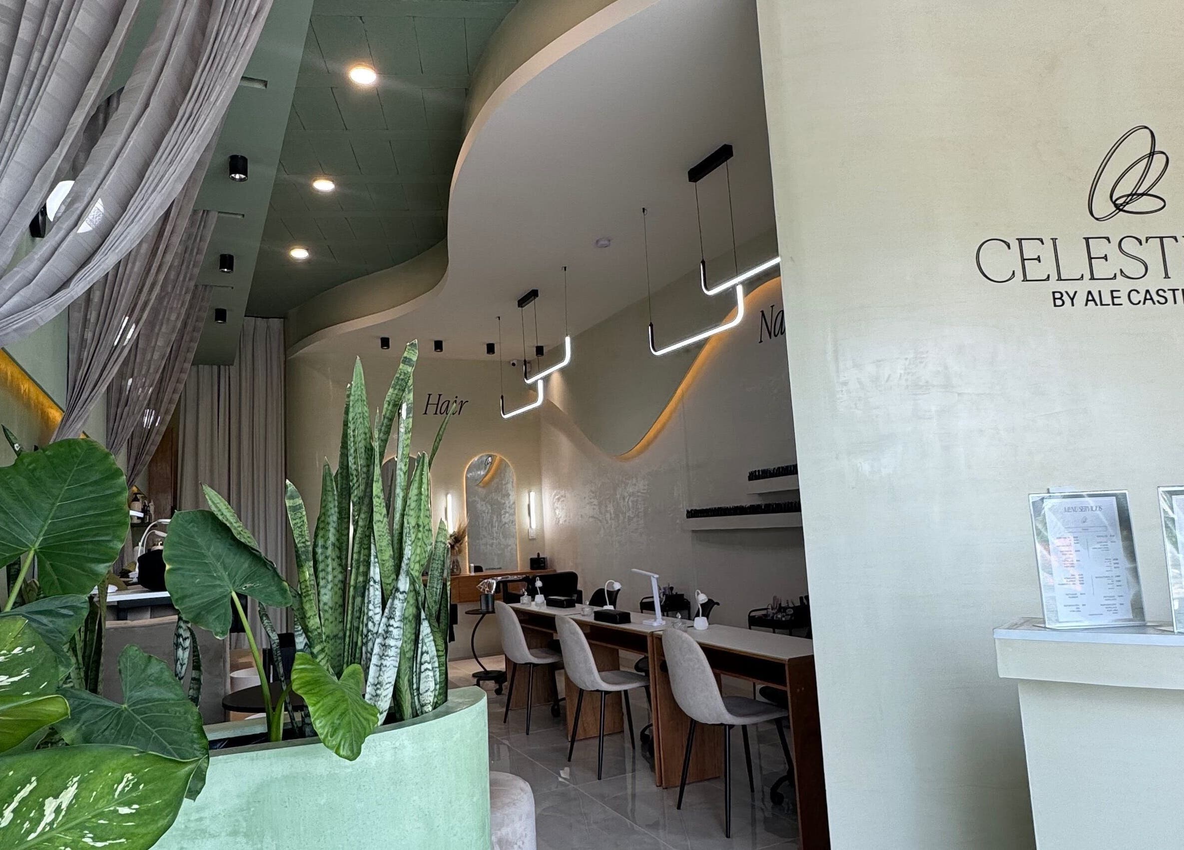 Interior de Celesthea Studio por Ale Castilla en Conkal, Yucatán, MX, con decoración moderna y plantas.