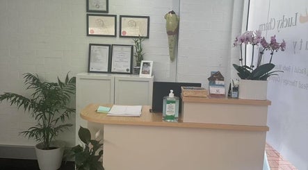 Reception area of Lucky Charm Beauty Massage in Morley, Western Australia, AU with certificates and plants.