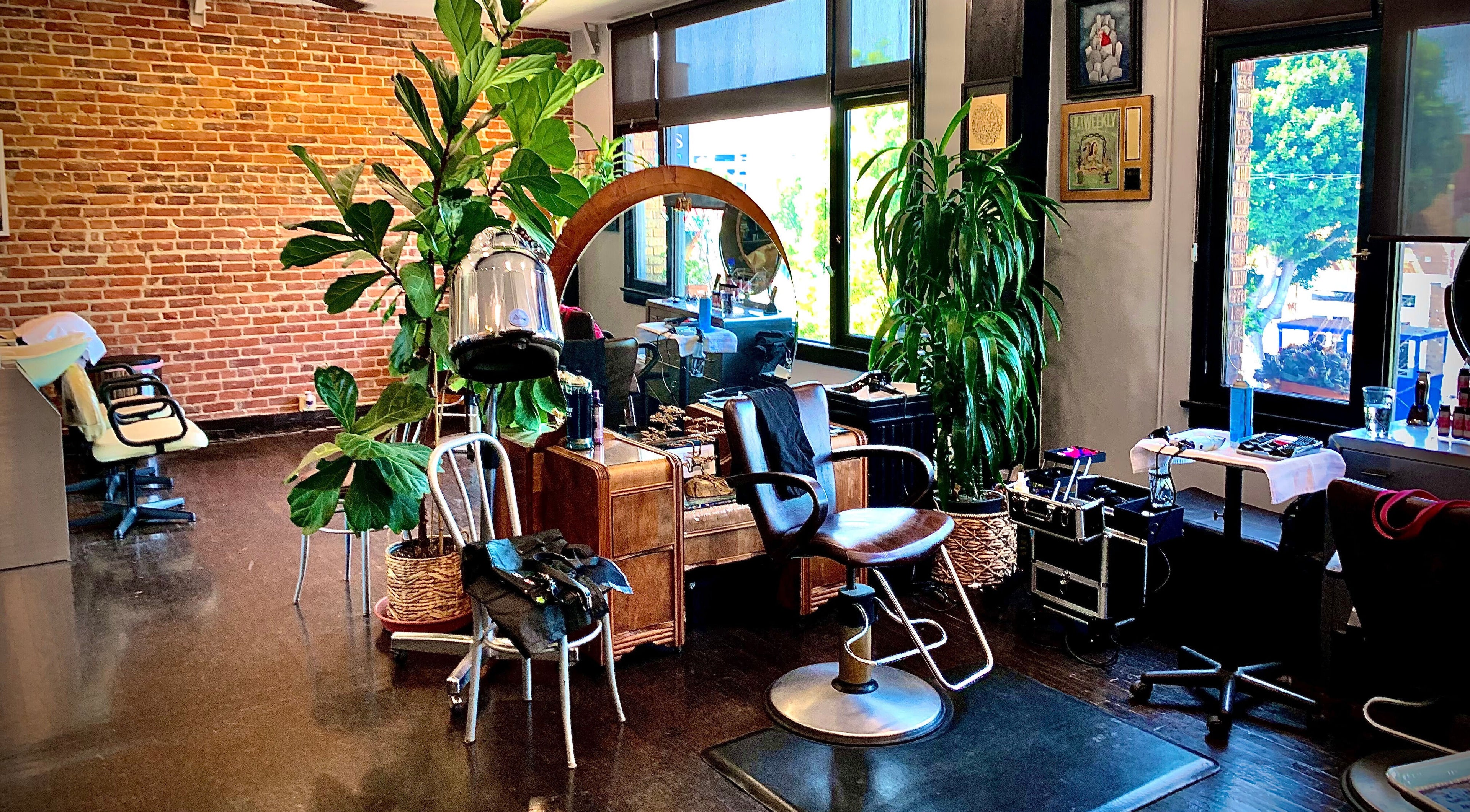 Cozy interior of Hair by Spindle in Los Angeles, California, US with stylish salon chairs and lush greenery.