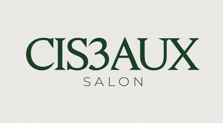 CIS3AUX, bilde 3
