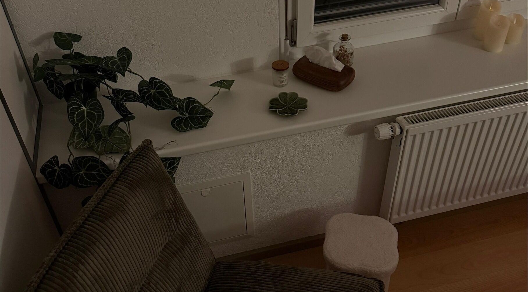 Ambiance sereine chez Les mots du corps, Yverdon-les-Bains, Vaud, CH. Plante luxuriante sur appui de fenêtre.