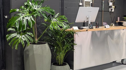 Reception area with lush plants at Sanctum Studio Perth, Subiaco, Western Australia, AU.