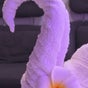 Khun Mai Thai Massage - 264Vauxhall Bridge, London, England