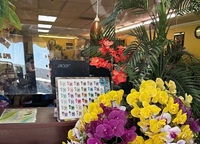 Entrance of Lisa Nails and Spa in Sonora, California featuring vibrant orchids and manicure options.