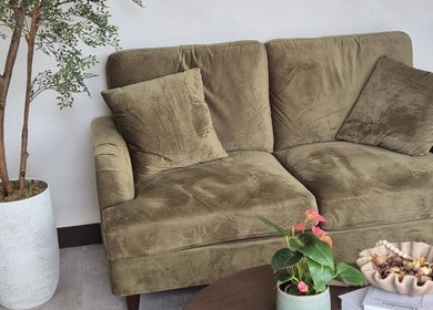 Comfortable seating area at Medermica, Bristol, England, GB with a plush sofa and a potted plant.