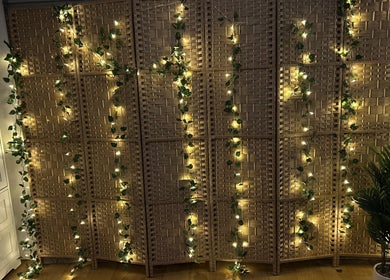 Ambient lights and plants at Skin Deep Massage Therapy, Crib Point, Victoria, AU creating a tranquil atmosphere.