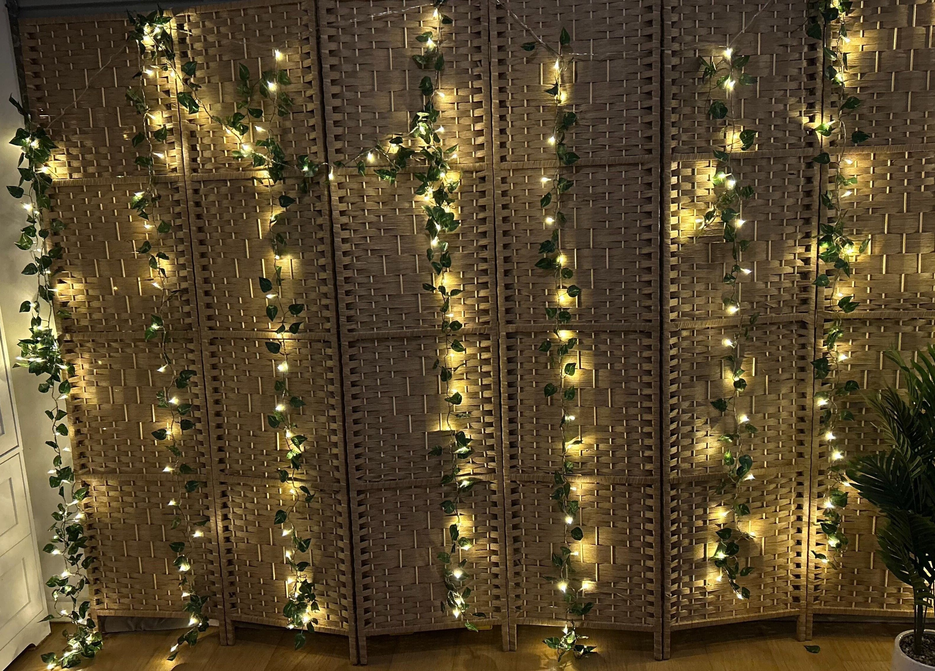 Ambient lights and plants at Skin Deep Massage Therapy, Crib Point, Victoria, AU creating a tranquil atmosphere.