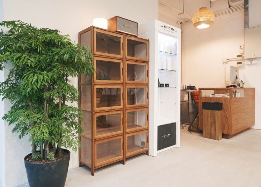 Salon Nozomi大堂内的现代木制柜子和绿色植物，位于香港島, 香港島, HK。