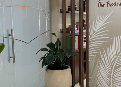 Stylish entrance of LBL Salon in Dubai, Dubai, AE featuring modern decor and a lush green plant.