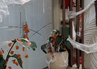 Festive autumn decor with cobwebs and leaves at LBL Salon, Dubai, Dubai, AE.