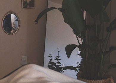 Relaxing corner at Rafaëlle Rotunno Massothérapie, Pointe-Claire, Québec, CA with mirror and lush plant decor.