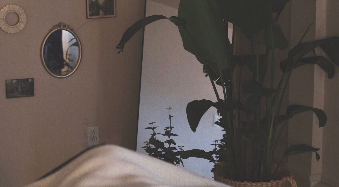 Relaxing corner at Rafaëlle Rotunno Massothérapie, Pointe-Claire, Québec, CA with mirror and lush plant decor.