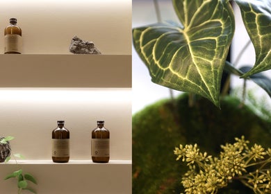 Natural products and greenery at Gili Head Spa in New York, New York, US showcasing tranquility.