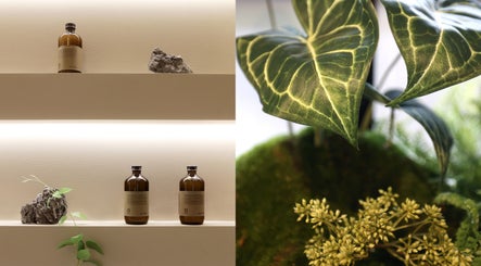 Natural products and greenery at Gili Head Spa in New York, New York, US showcasing tranquility.