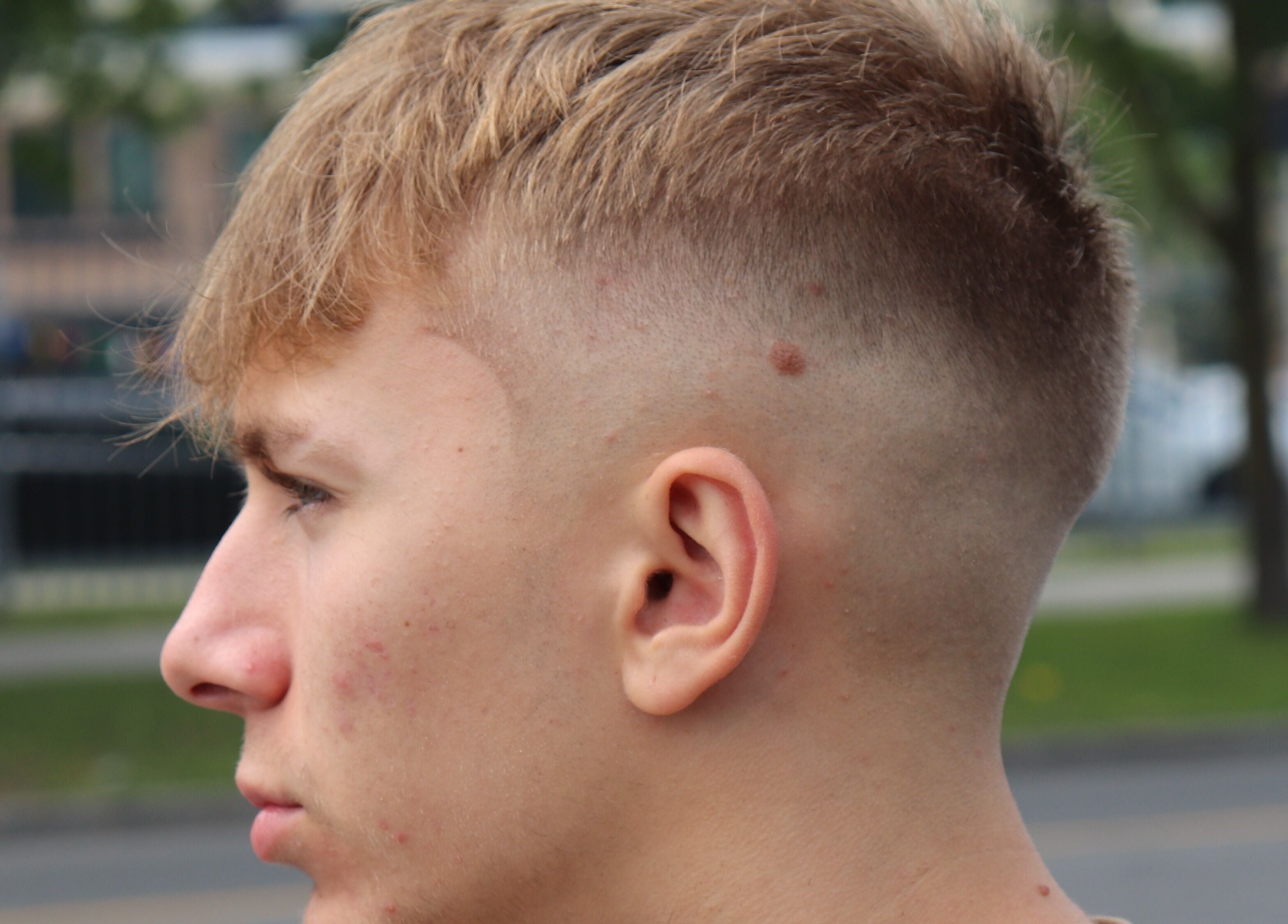 Close-up of a modern fade haircut at Le St-Graal BarberShop, Québec, Québec, CA.