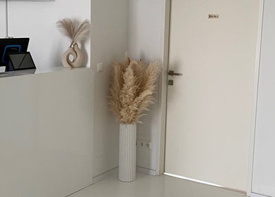 Empfangsbereich bei Brow Lash Care in Leibnitz, Steiermark, AT mit minimalistischer Dekoration und Pampasgras.