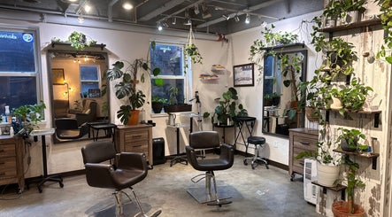 Stylish interior of æffect hair at Winter Park, Florida, US, featuring lush plants and modern salon chairs.