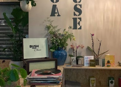 Serenity Sound Healing venue in London, England featuring vintage decor with plants and vinyl records.