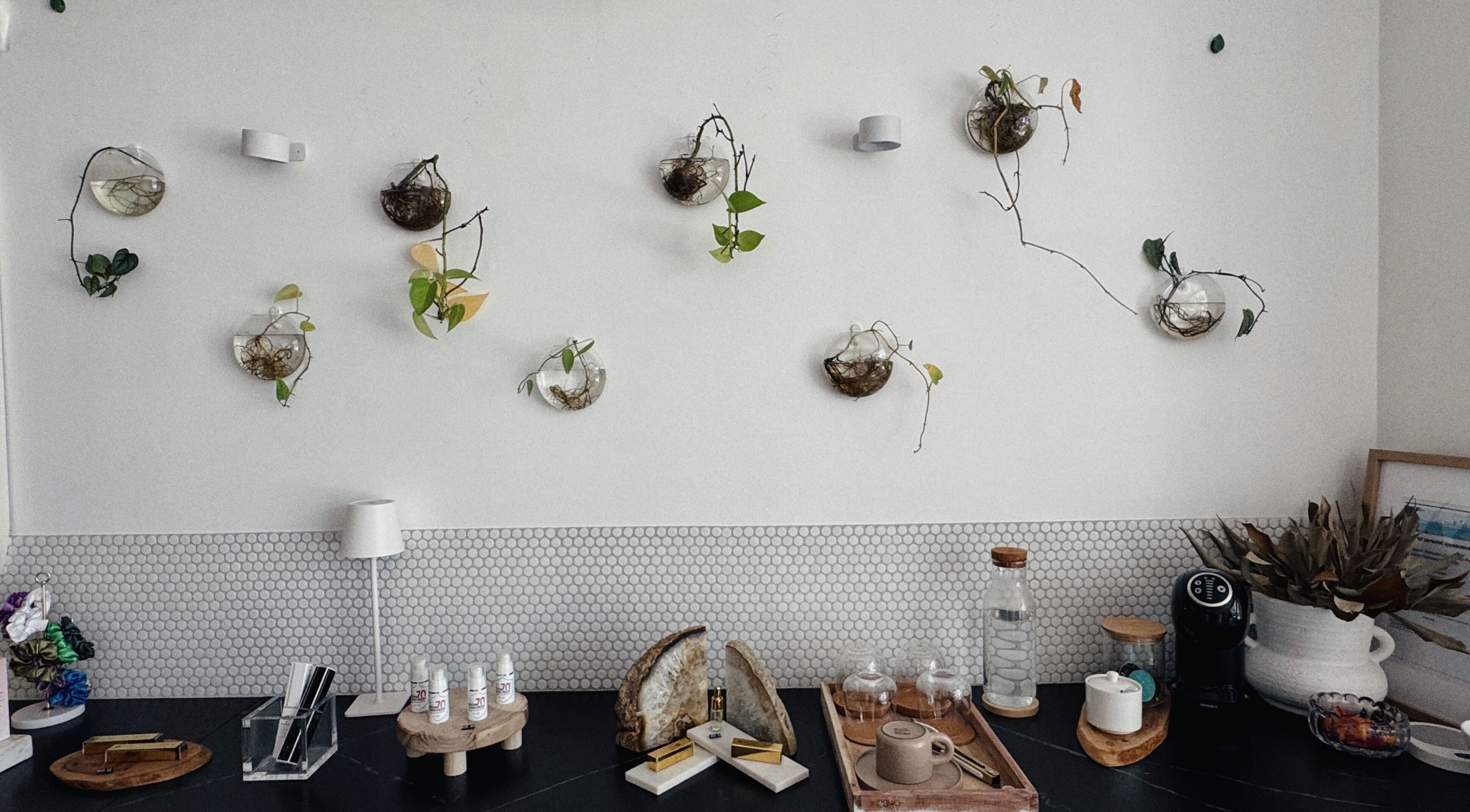 Wall decor with plants and spa setting at The Serenity Room - Massage Studio, Surfers Paradise, Queensland, AU.