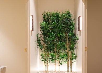 Green bamboo decorates the calming hallway at New Star Massage and Head Therapy in Marrickville, New South Wales, AU.