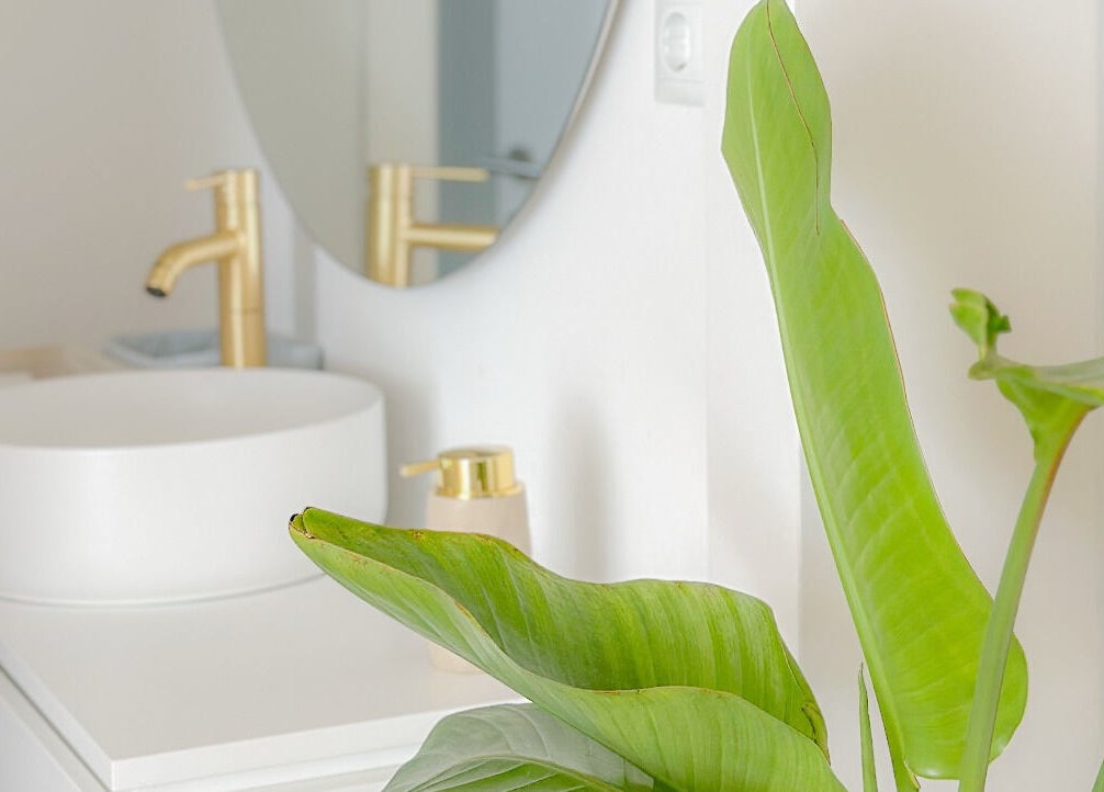 Detalhe contemporâneo do lavatório do Studio Unique com vaso de planta, Porto, Porto, PT.