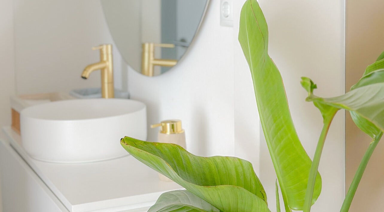 Detalhe contemporâneo do lavatório do Studio Unique com vaso de planta, Porto, Porto, PT.