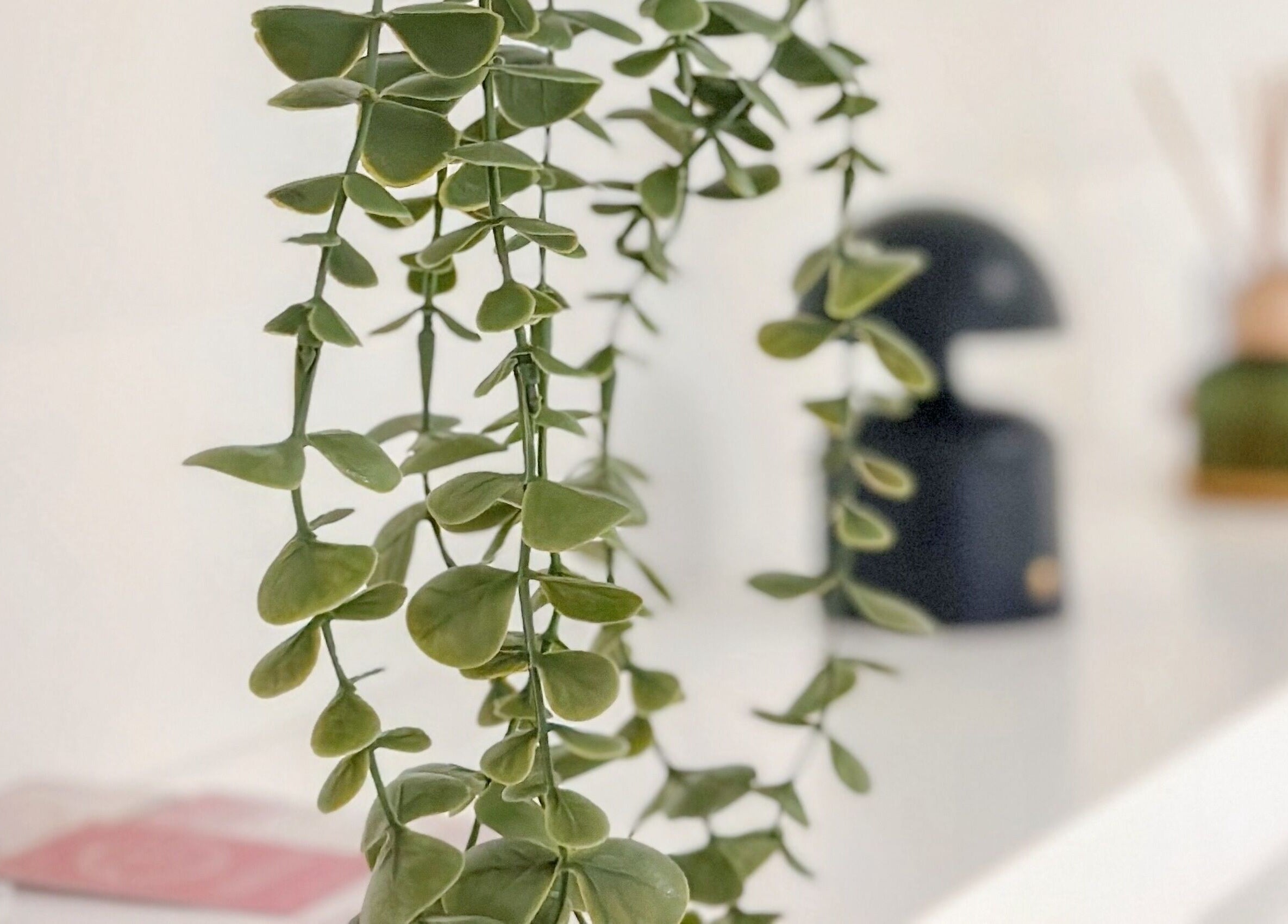 Decoração com planta suspensa em Studio Unique, Porto, Porto, PT, criando um ambiente relaxante.