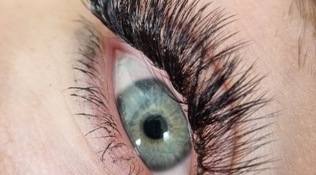Picture Perfect Lashes image 2