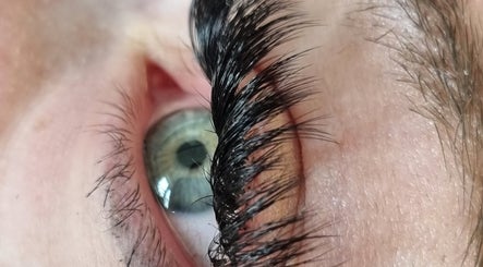 Picture Perfect Lashes