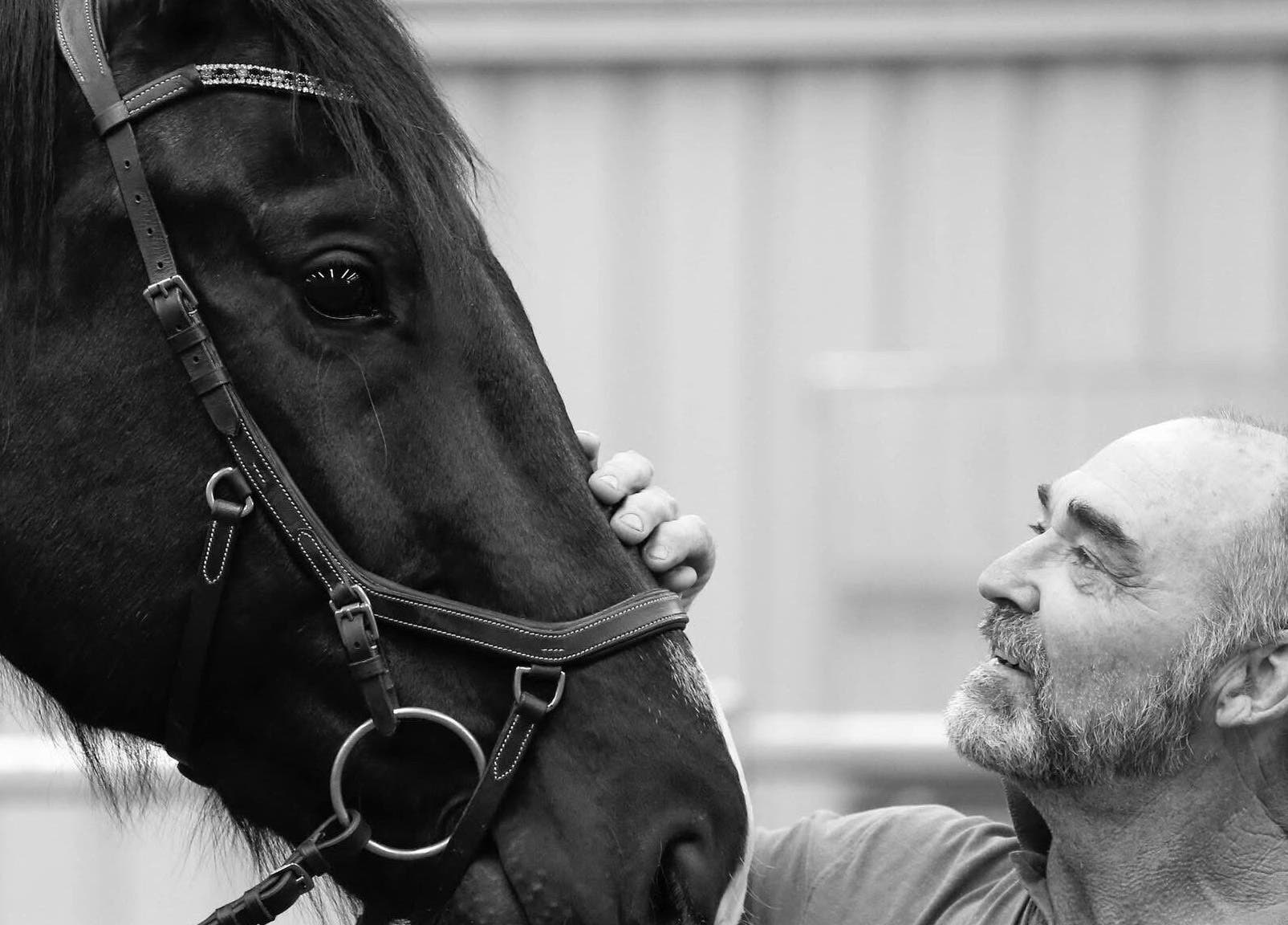 Man with horse at Scott Brodie - Central Coast, Peats Ridge, New South Wales, AU, showcasing unique wellness bond.