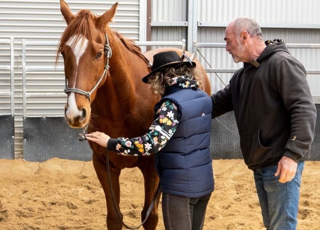 Trainer guiding a person with a horse at Scott Brodie - Central Coast, Peats Ridge, New South Wales, AU.