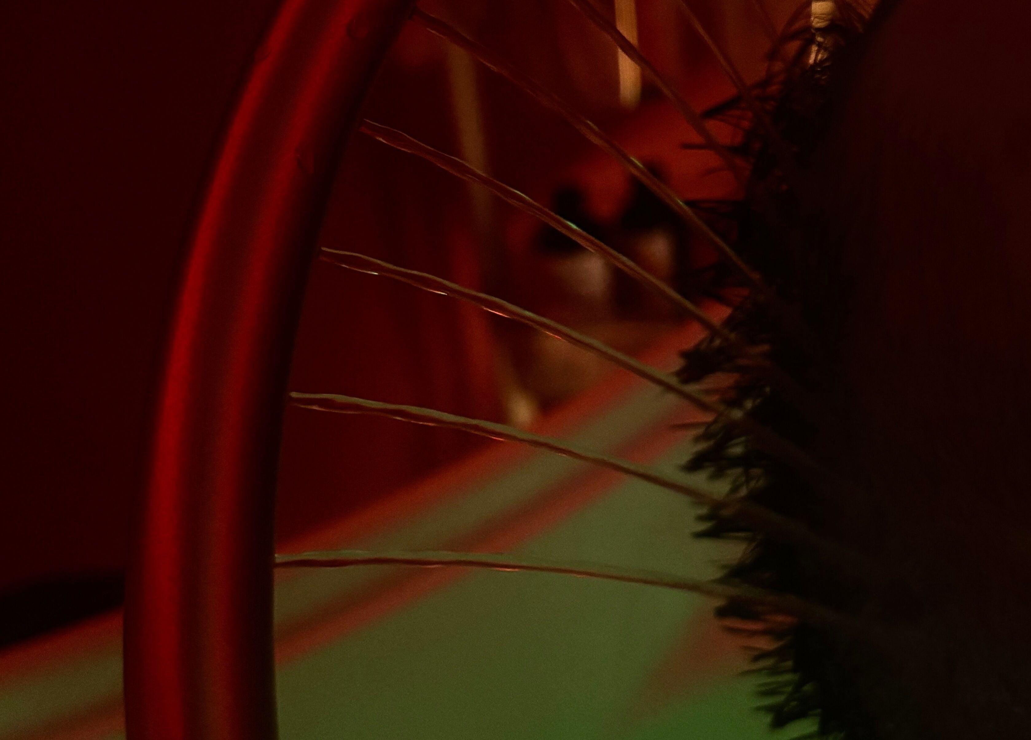 Massage de tête apaisant chez Kalm Headspa, Vecoux, Grand Est, FR pour un bien-être optimal.