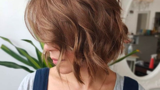 Private hairdressing plympton