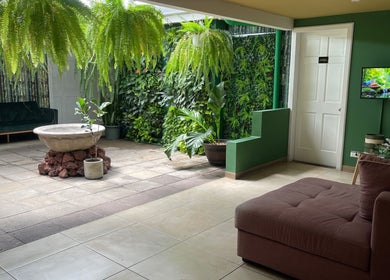 Espacio relajante en Estética Méndez, San José, San José, CR con sofás, plantas y decoración zen.