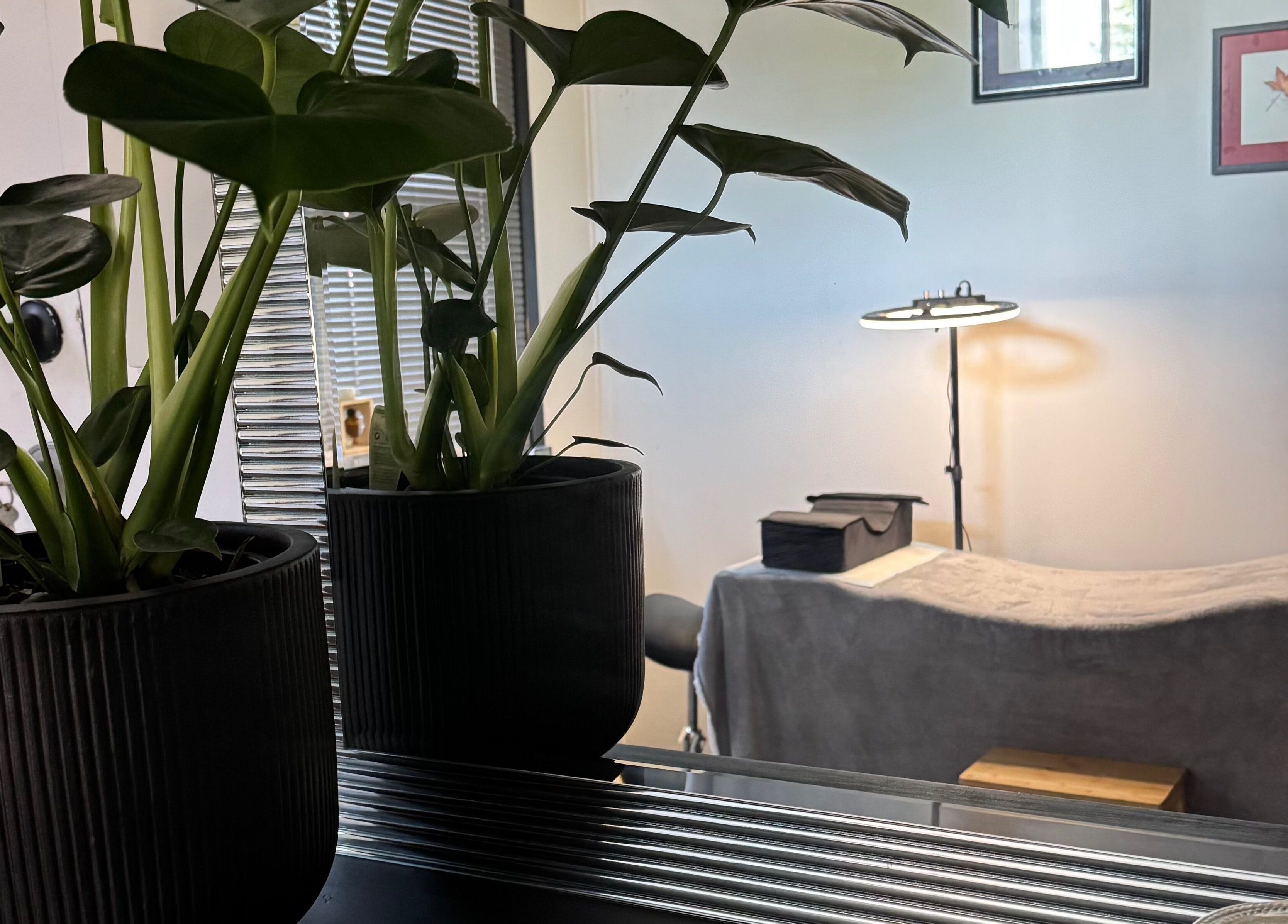 Relaxing massage room at Designer Lashes, Trafalgar, Victoria, AU with lush plants and cozy decor.
