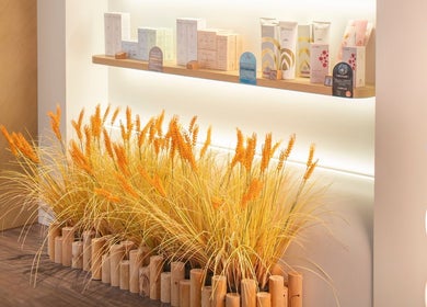 Kitto Lab Beauty 九龍, 九龍, HK 内部展示货架和自然风格装饰。